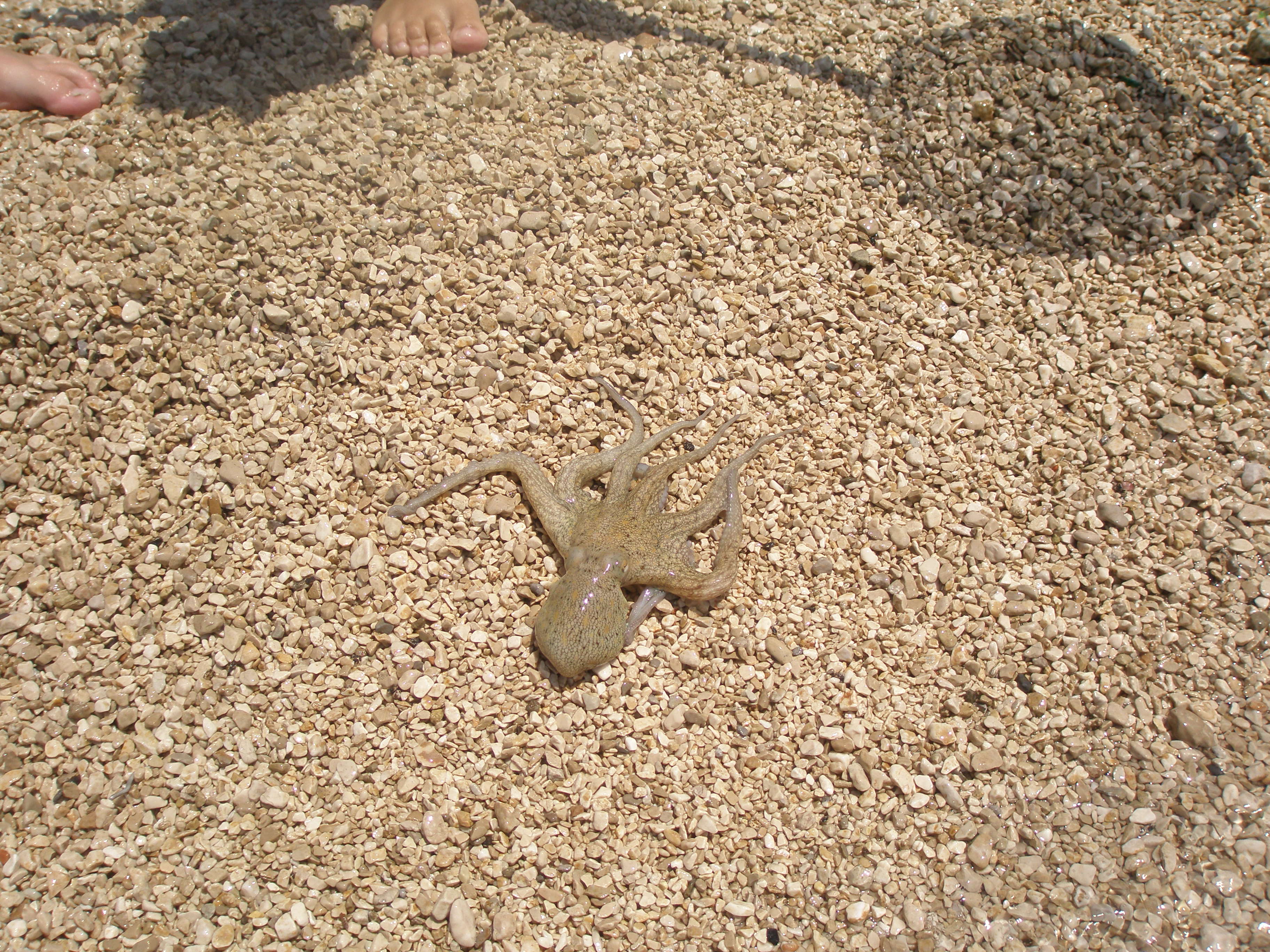 P7100032.JPG